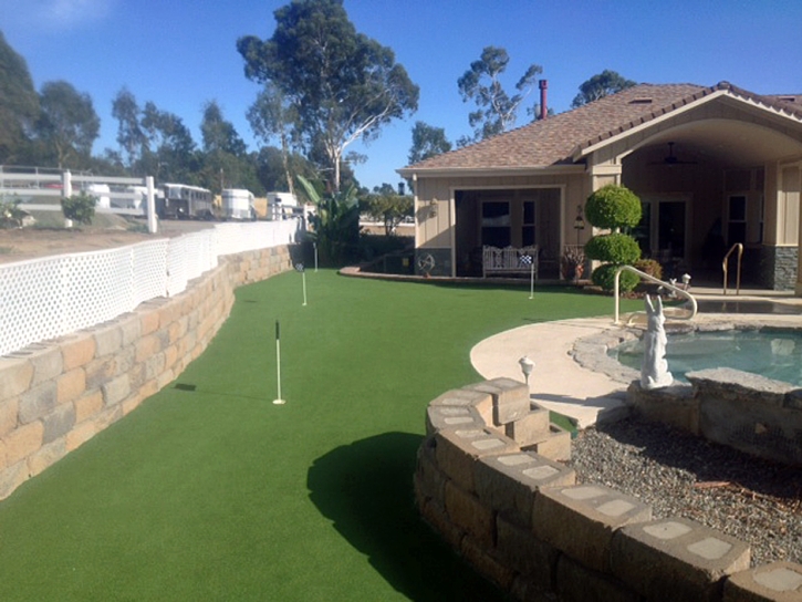 Artificial Grass Vista Santa Rosa, California Landscape Design, Backyard Ideas