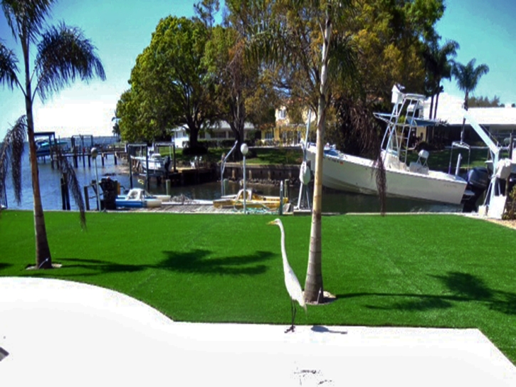 Artificial Lawn Nuevo, California Landscaping Business, Backyard Landscaping Ideas