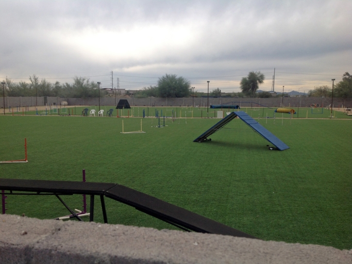 Artificial Lawn Thousand Palms, California Sports Turf, Parks