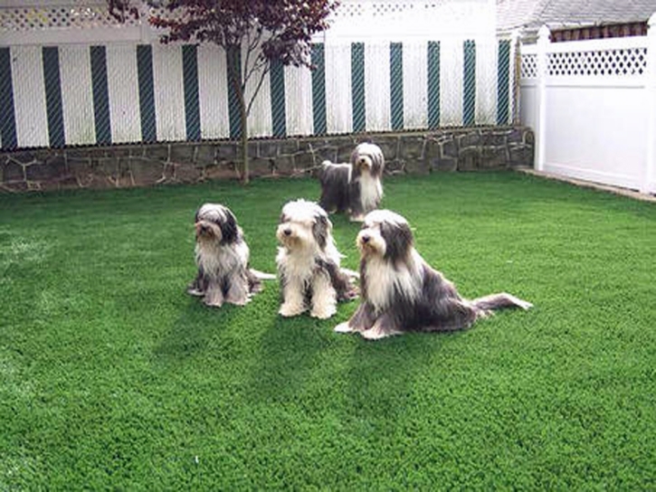 Artificial Turf Cost Green Acres, California Pictures Of Dogs, Backyard Makeover