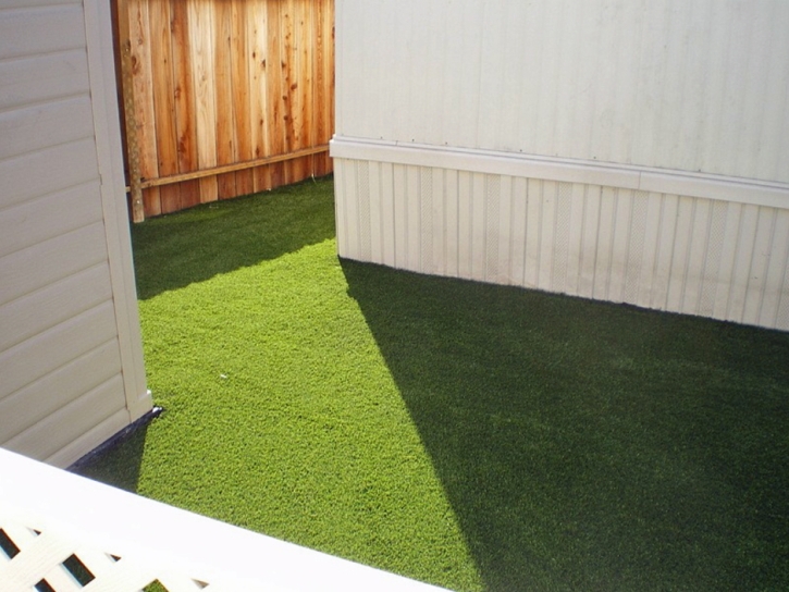 Artificial Turf Desert Center, California Fake Grass For Dogs, Small Backyard Ideas