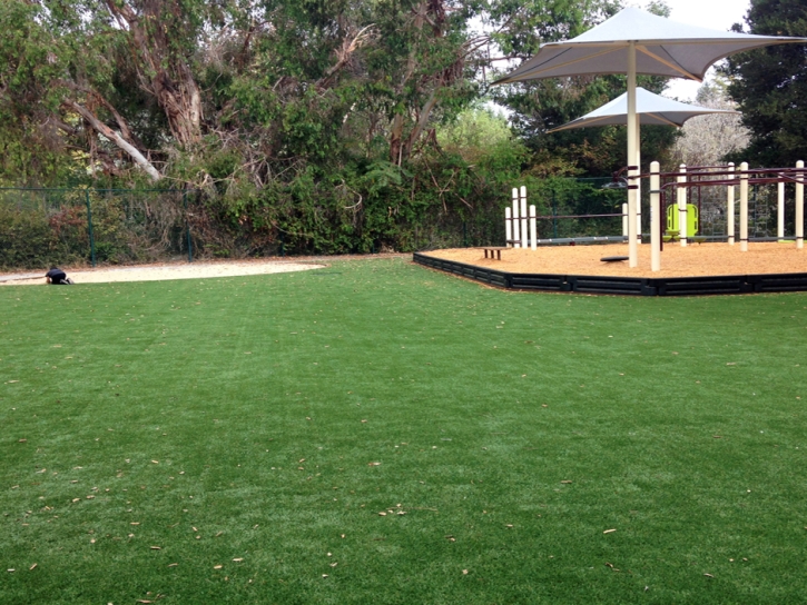 Artificial Turf Garnet, California Indoor Playground