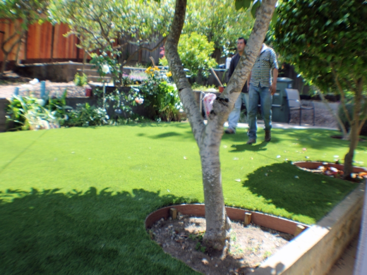 Artificial Turf Installation Desert Hot Springs, California Landscape Design, Backyard Designs