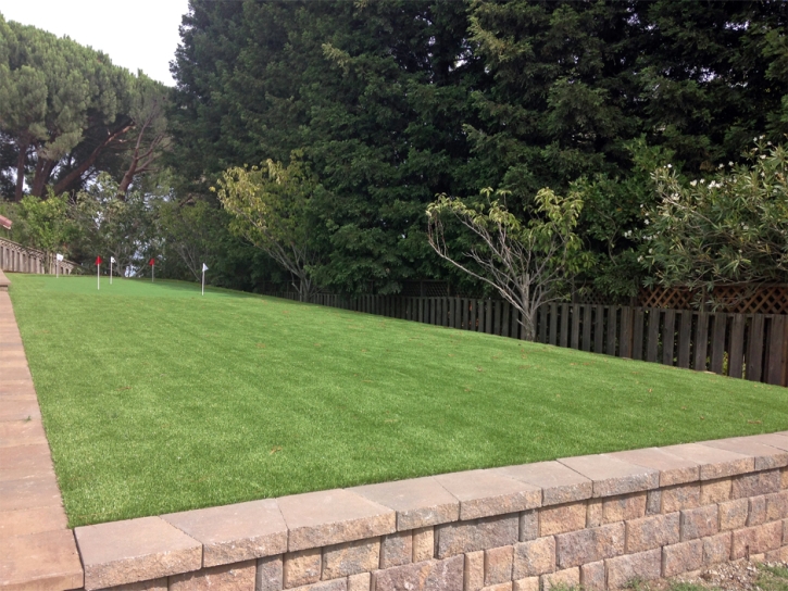 Artificial Turf Installation Nuevo, California Landscaping Business, Backyard Ideas