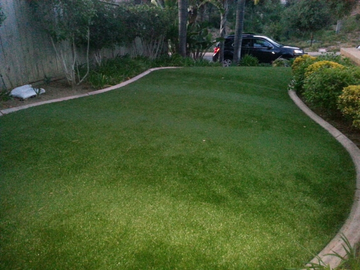 Artificial Turf Menifee, California Home And Garden, Front Yard Design