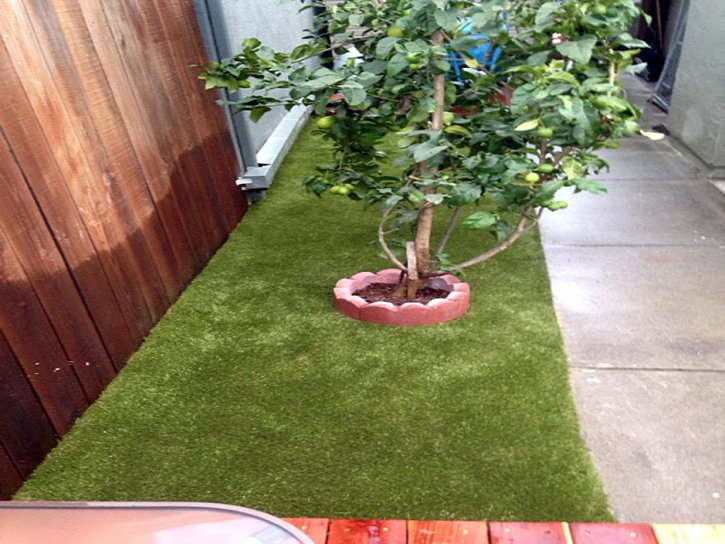 Artificial Turf Rubidoux, California Cat Grass, Backyard Makeover