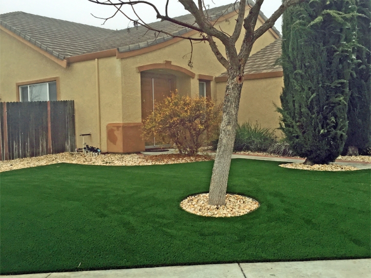 Best Artificial Grass Alpine Village, California Landscape Ideas, Front Yard Landscaping