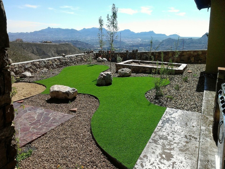 Best Artificial Grass Good Hope, California Gardeners, Backyard Ideas