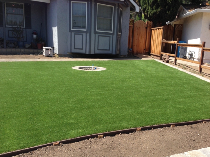 Best Artificial Grass Idyllwild, California Backyard Playground, Backyard Landscaping