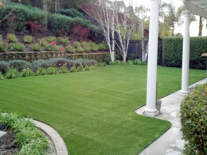 Best Artificial Grass Vista Santa Rosa, California Dog Pound, Backyard Ideas