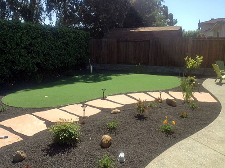 Fake Grass Carpet Cabazon, California Landscaping Business, Beautiful Backyards