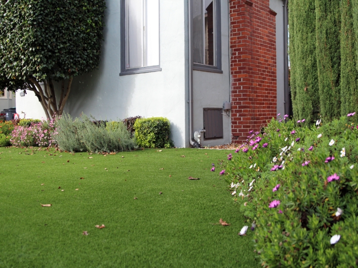 Fake Grass Carpet Desert Center, California City Landscape, Front Yard