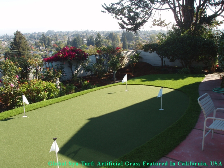 Fake Grass Carpet Mead Valley, California Indoor Putting Greens, Backyard Design