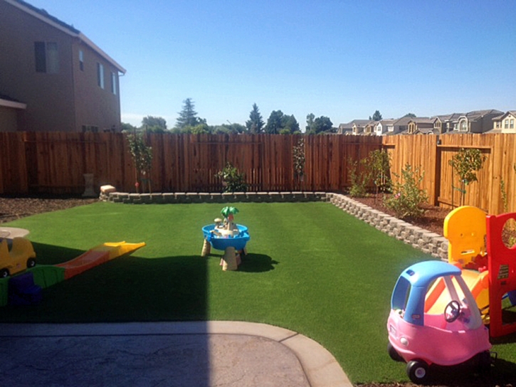 Fake Grass Mesa Verde, California Landscape Ideas, Backyard Ideas