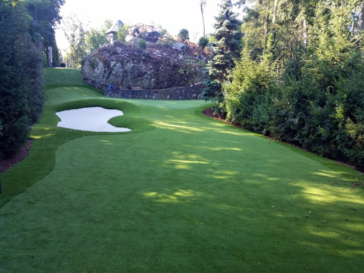 Fake Grass Rancho Mirage, California Home And Garden, Commercial Landscape