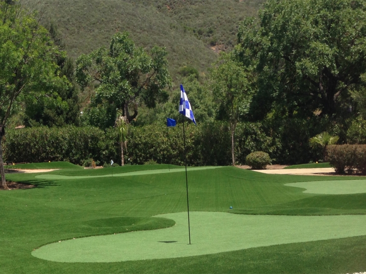 Fake Grass San Jacinto, California Indoor Putting Greens