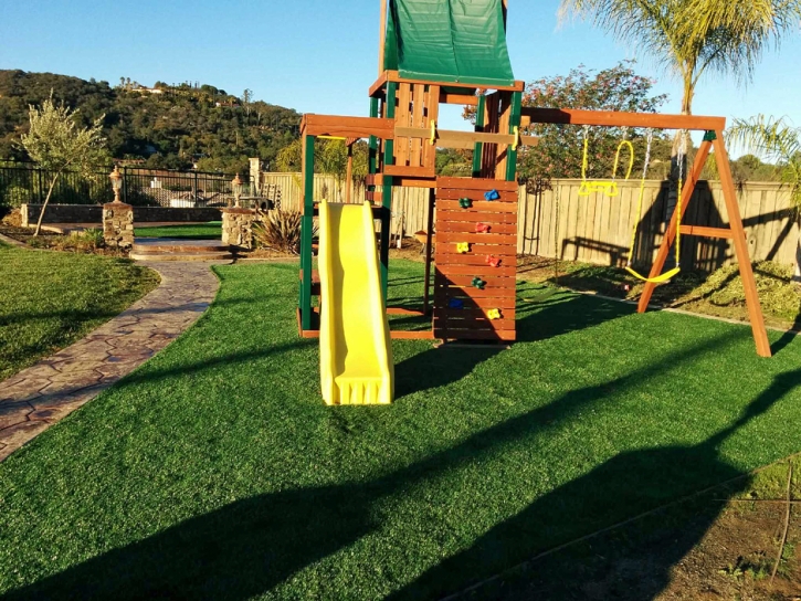 Fake Lawn Murrieta, California Garden Ideas, Backyard