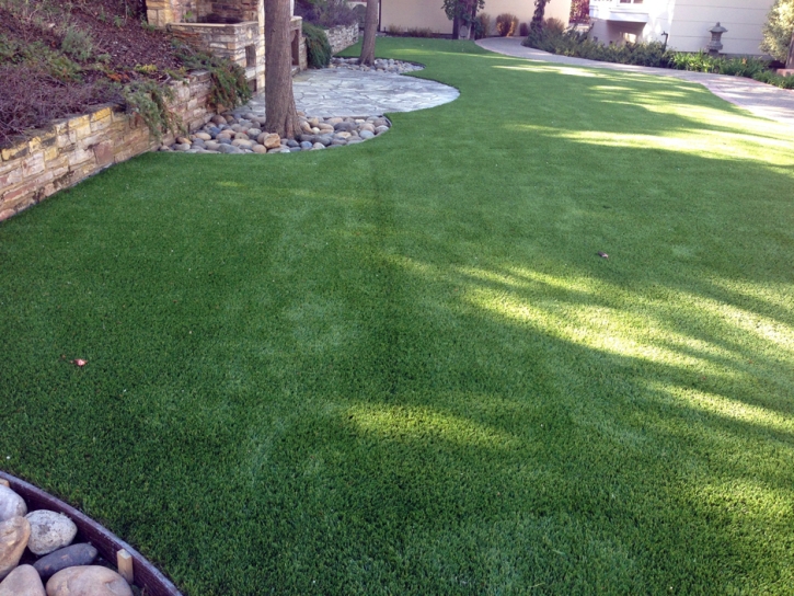 Fake Turf Mead Valley, California Landscaping Business, Small Backyard Ideas