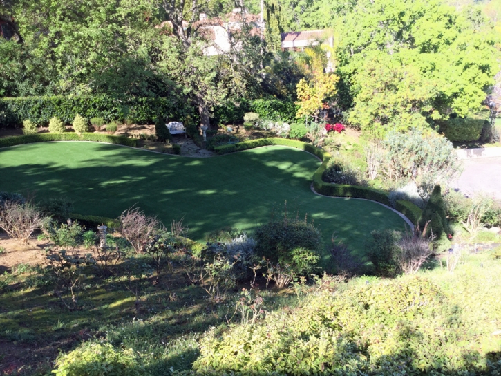 Fake Turf Mecca, California Landscaping Business, Backyard Ideas