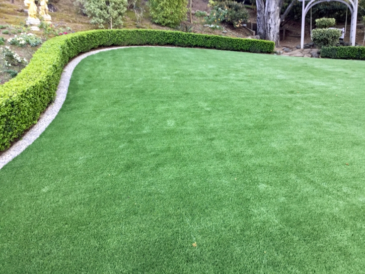 Fake Turf Thousand Palms, California Roof Top, Backyard Makeover