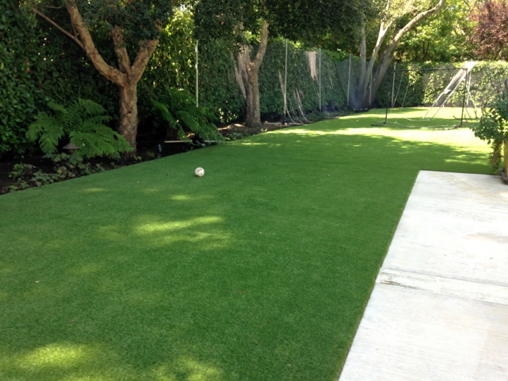 Faux Grass Banning, California Pictures Of Dogs
