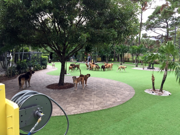 Faux Grass Cathedral City, California Landscaping Business, Commercial Landscape