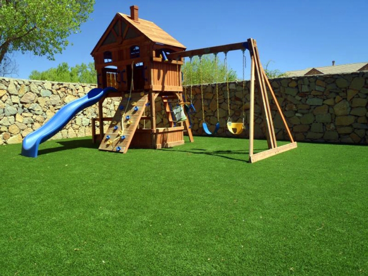 Faux Grass Lakeland Village, California Landscape Design, Backyards