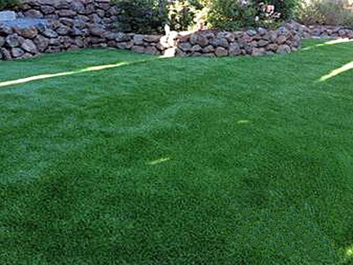 Faux Grass Murrieta, California Dog Parks, Backyard Landscaping Ideas