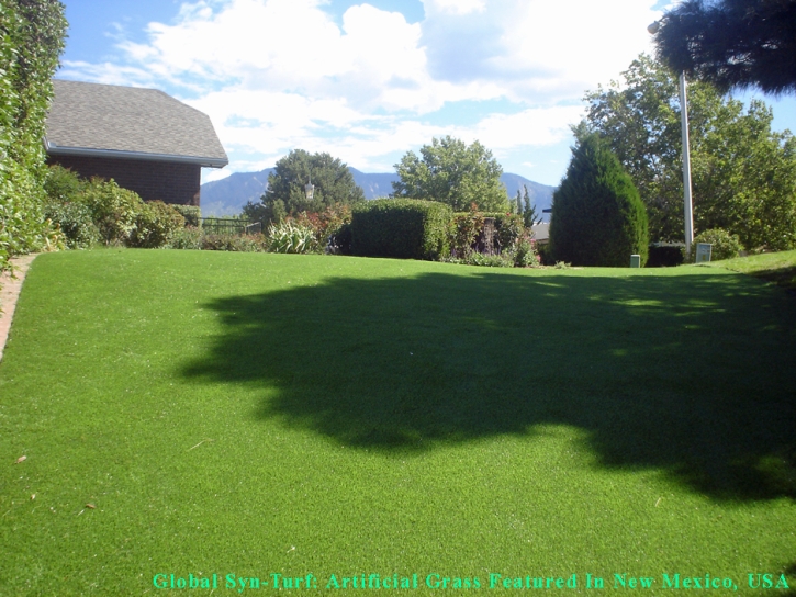 Grass Carpet Glen Avon, California Dog Grass, Backyard Garden Ideas
