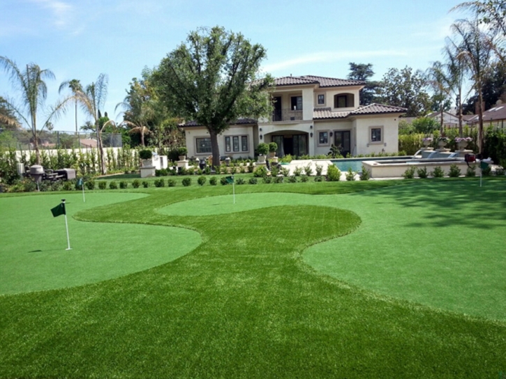 Grass Carpet Nuevo, California Putting Green Carpet, Front Yard Ideas