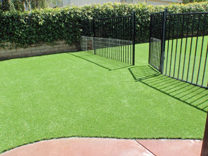 Grass Carpet Thermal, California Landscape Photos, Front Yard Design