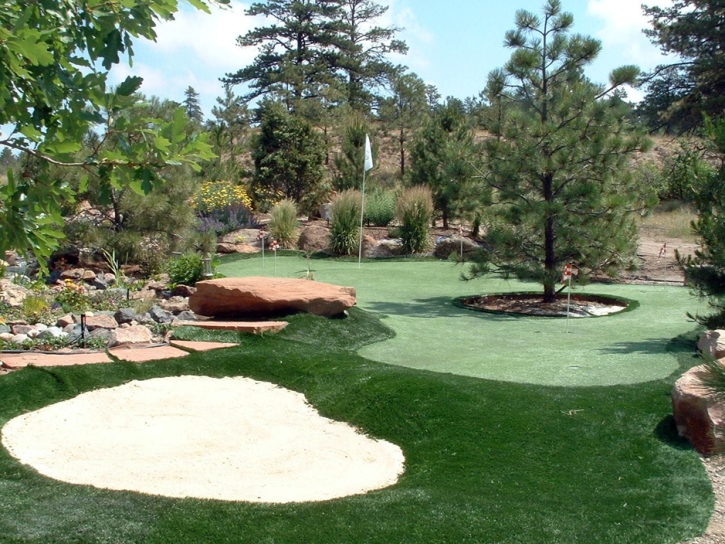 Grass Turf Idyllwild-Pine Cove, California Home Putting Green, Backyard Designs