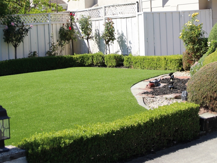 Grass Turf Pedley, California Garden Ideas, Front Yard Landscaping