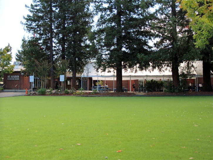 Grass Turf Temecula, California Lawns, Parks