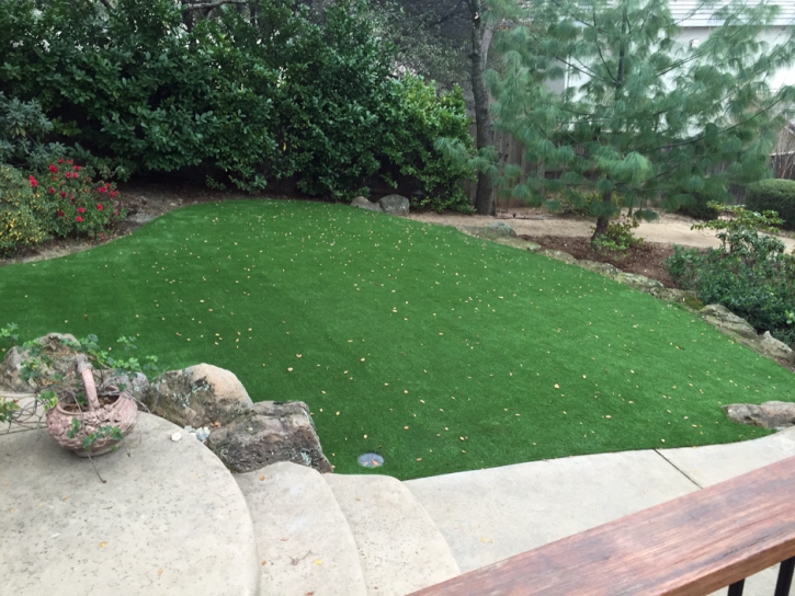 Green Lawn Anza, California Home And Garden, Backyard Designs