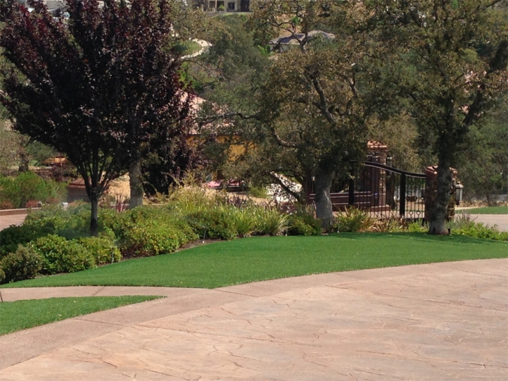 Green Lawn East Hemet, California Lawn And Landscape, Beautiful Backyards