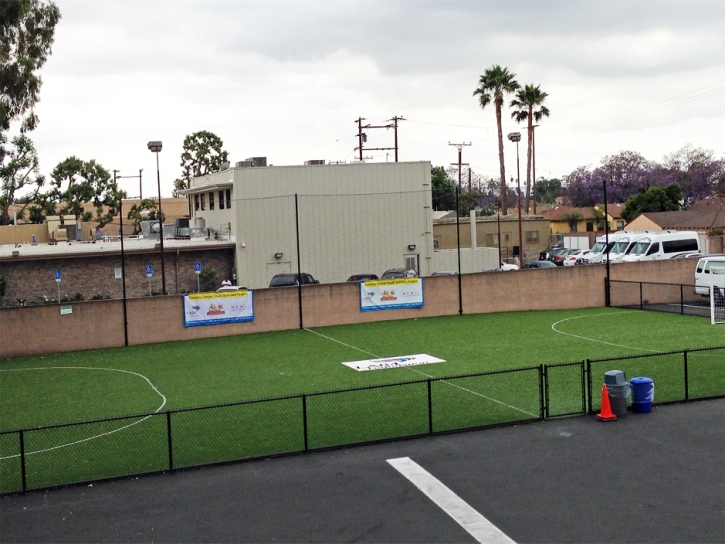 Green Lawn Mecca, California Sports Athority, Commercial Landscape
