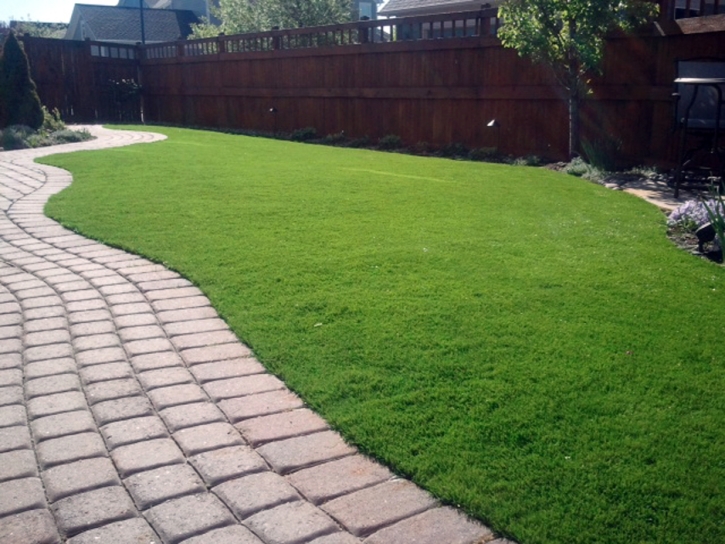 Green Lawn Pedley, California Cat Playground, Backyard Landscaping Ideas