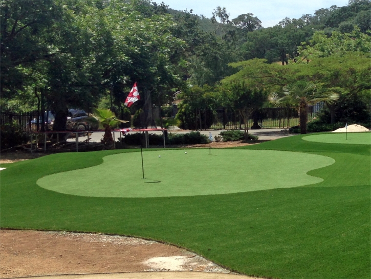 Green Lawn Vista Santa Rosa, California Lawn And Garden, Front Yard Ideas