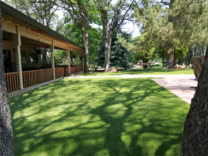 How To Install Artificial Grass Idyllwild-Pine Cove, California Dog Run, Backyard Garden Ideas