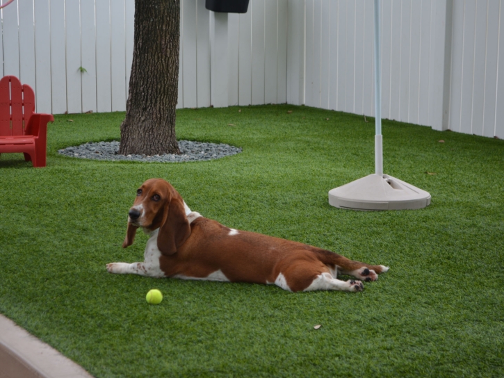 How To Install Artificial Grass Nuevo, California Pet Grass, Dogs Runs