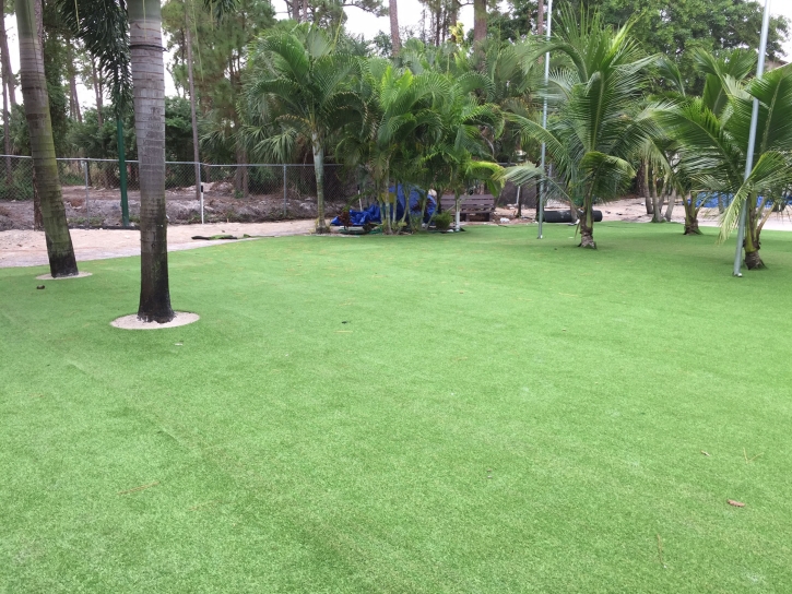 How To Install Artificial Grass Sedco Hills, California Gardeners, Commercial Landscape