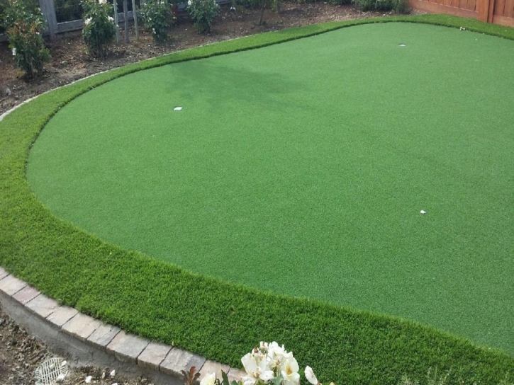 Installing Artificial Grass Idyllwild, California Roof Top, Backyard Garden Ideas