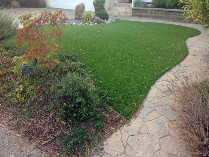 Lawn Services Desert Hot Springs, California Cat Grass, Backyard Design