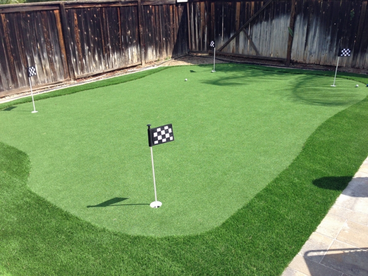 Lawn Services Ripley, California Artificial Putting Greens, Backyard