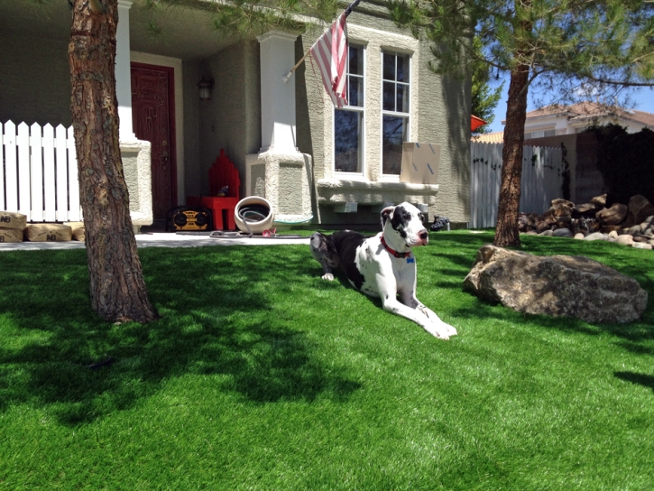 Lawn Services Valle Vista, California Landscaping Business, Dogs Runs