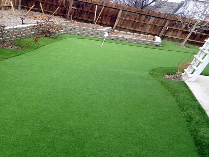 Outdoor Carpet Sunnyslope, California Diy Putting Green, Backyard Makeover