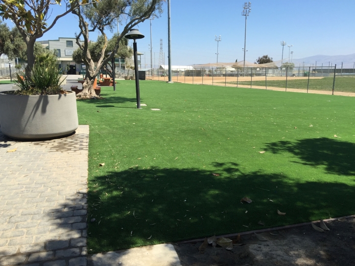 Plastic Grass Beaumont, California Landscape Ideas, Commercial Landscape