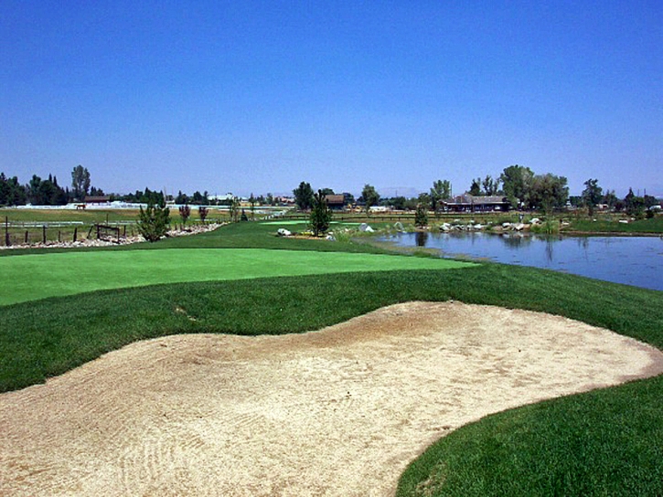 Plastic Grass Indio Hills, California Landscape Design, Backyard Landscape Ideas