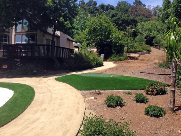 Plastic Grass Rubidoux, California Putting Green Carpet, Small Front Yard Landscaping